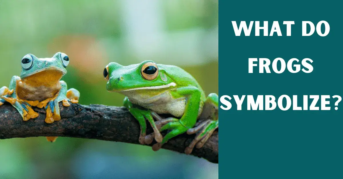 what do frogs symbolize