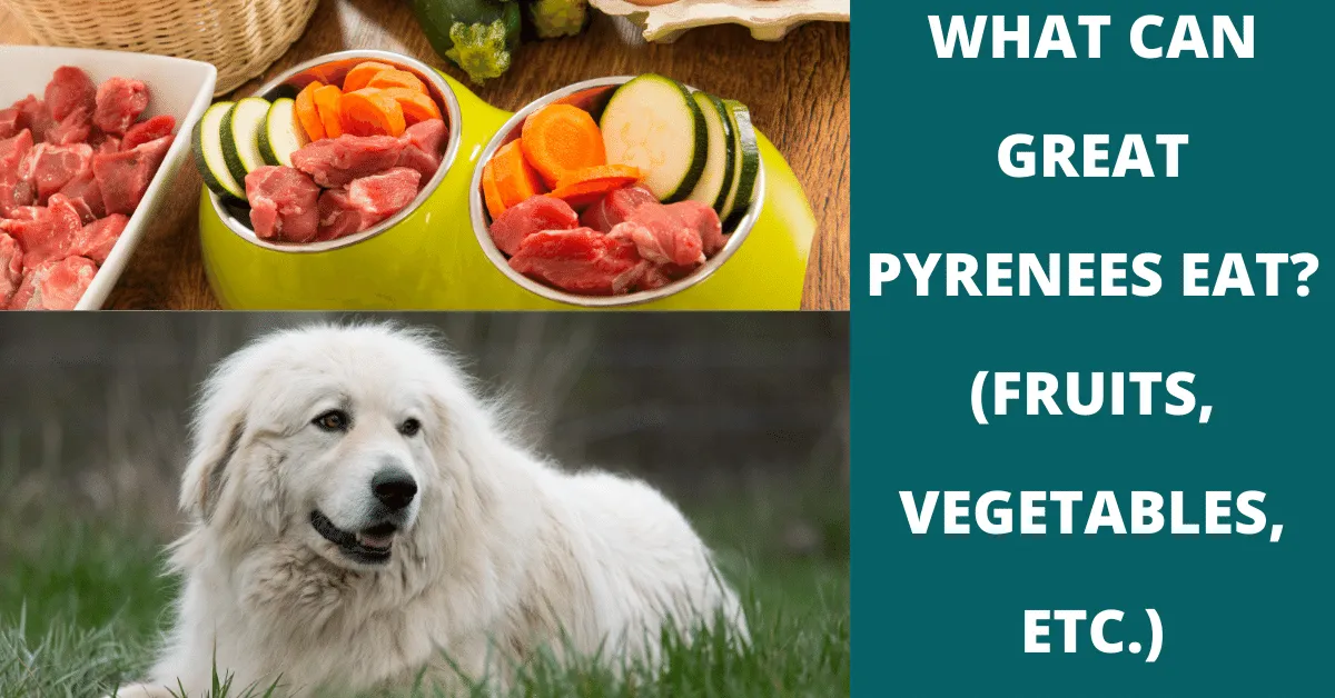 what can great pyrenees eat