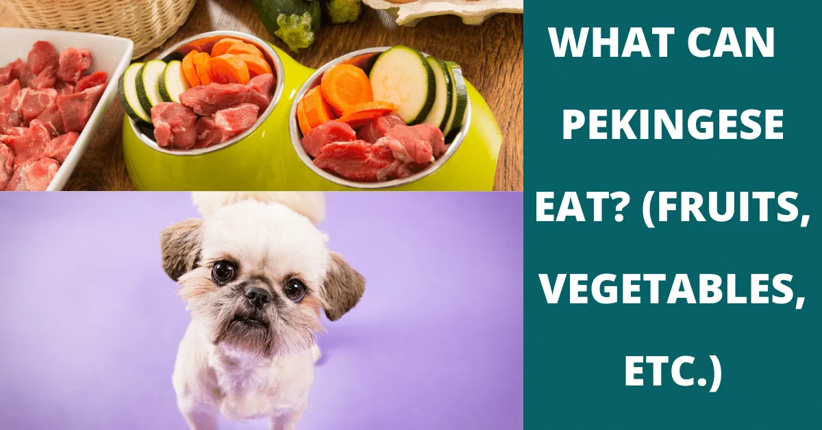 what can pekingese eat