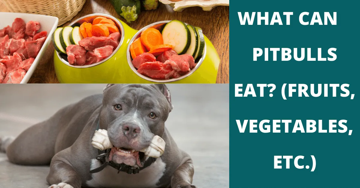 what can pitbulls eat