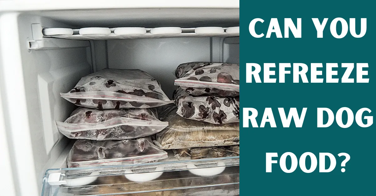 can you refreeze raw dog food