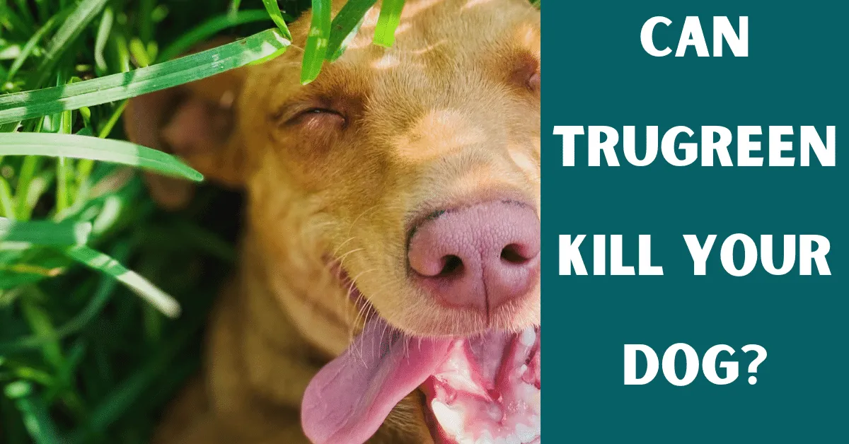 trugreen killed my dog