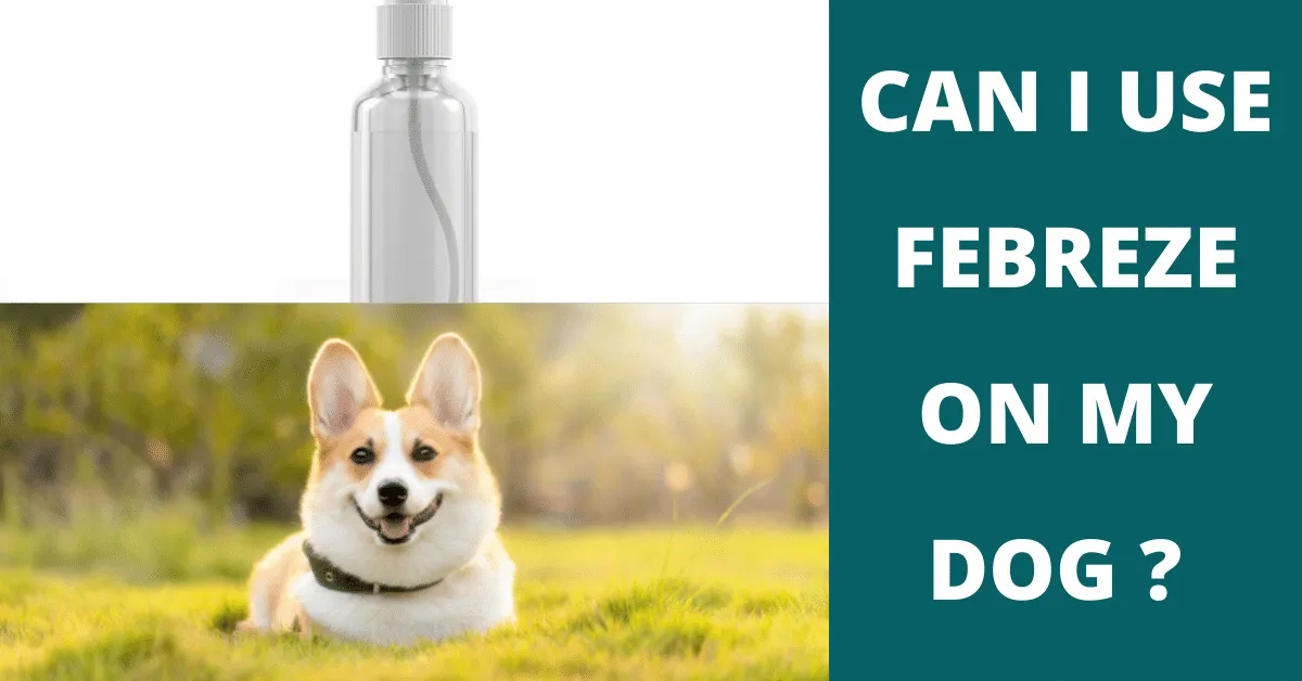 can i use febreze on my dog