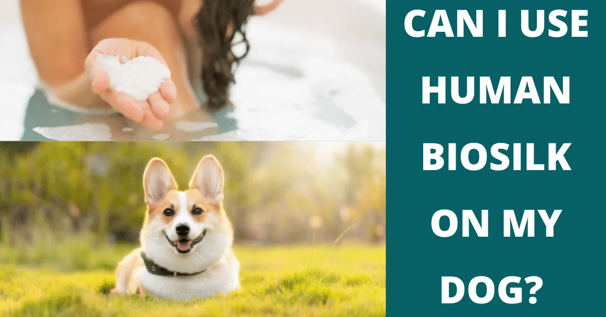 can i use human biosilk on my dog