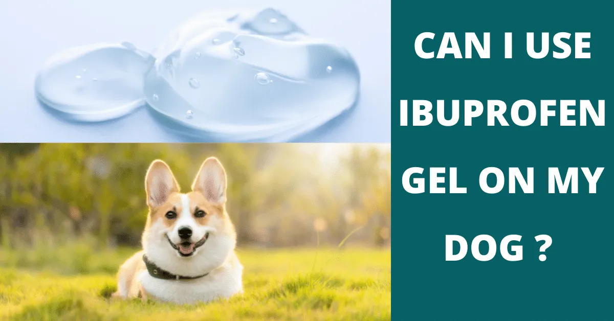 can i use ibuprofen gel on my dog