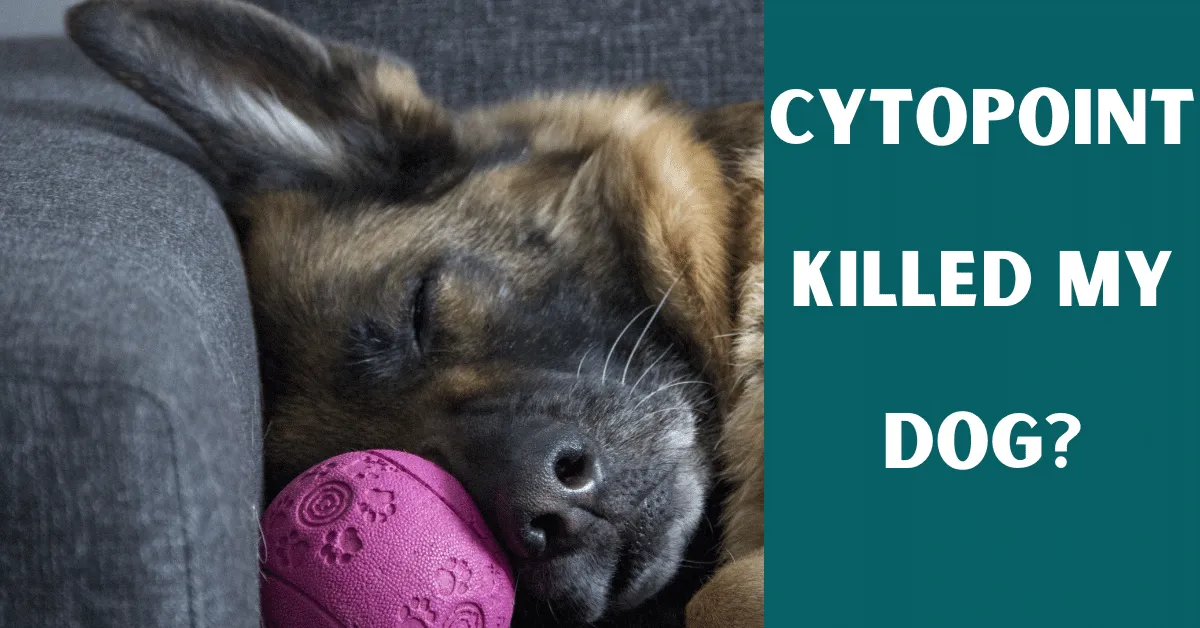 cytopoint killed my dog