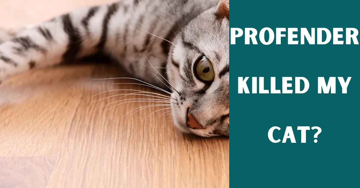 profender killed my cat