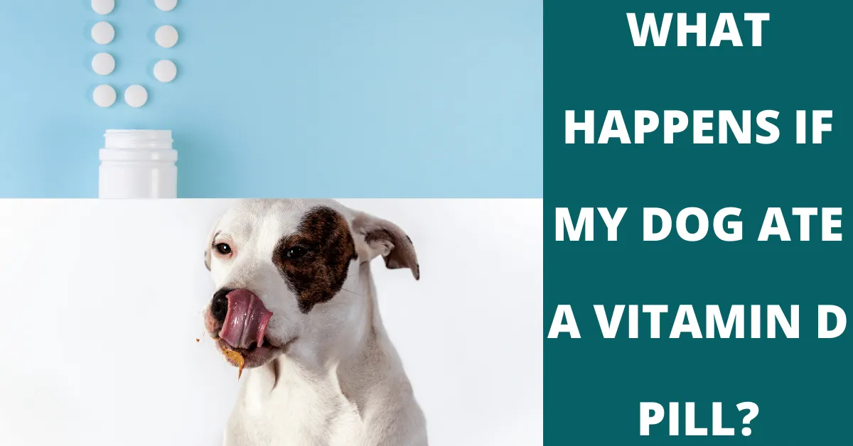 what happens if my dog ate a vitamin d pill