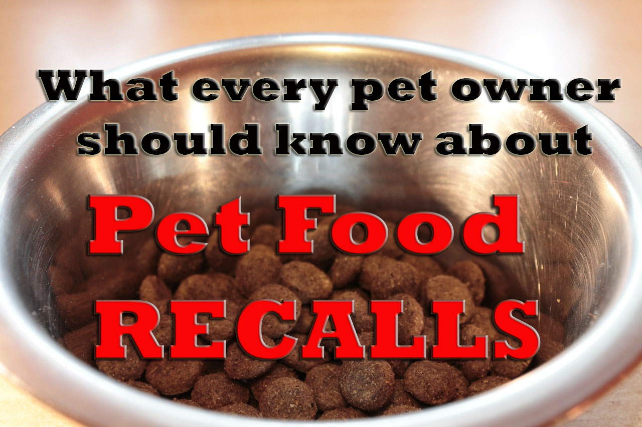 Are All Dog Foods Made in China