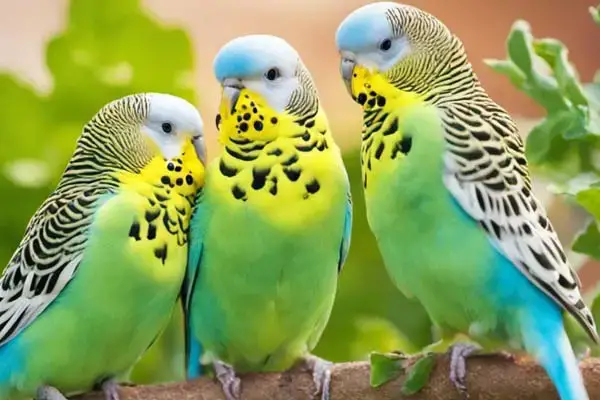 Can Budgies Eat Cilantro