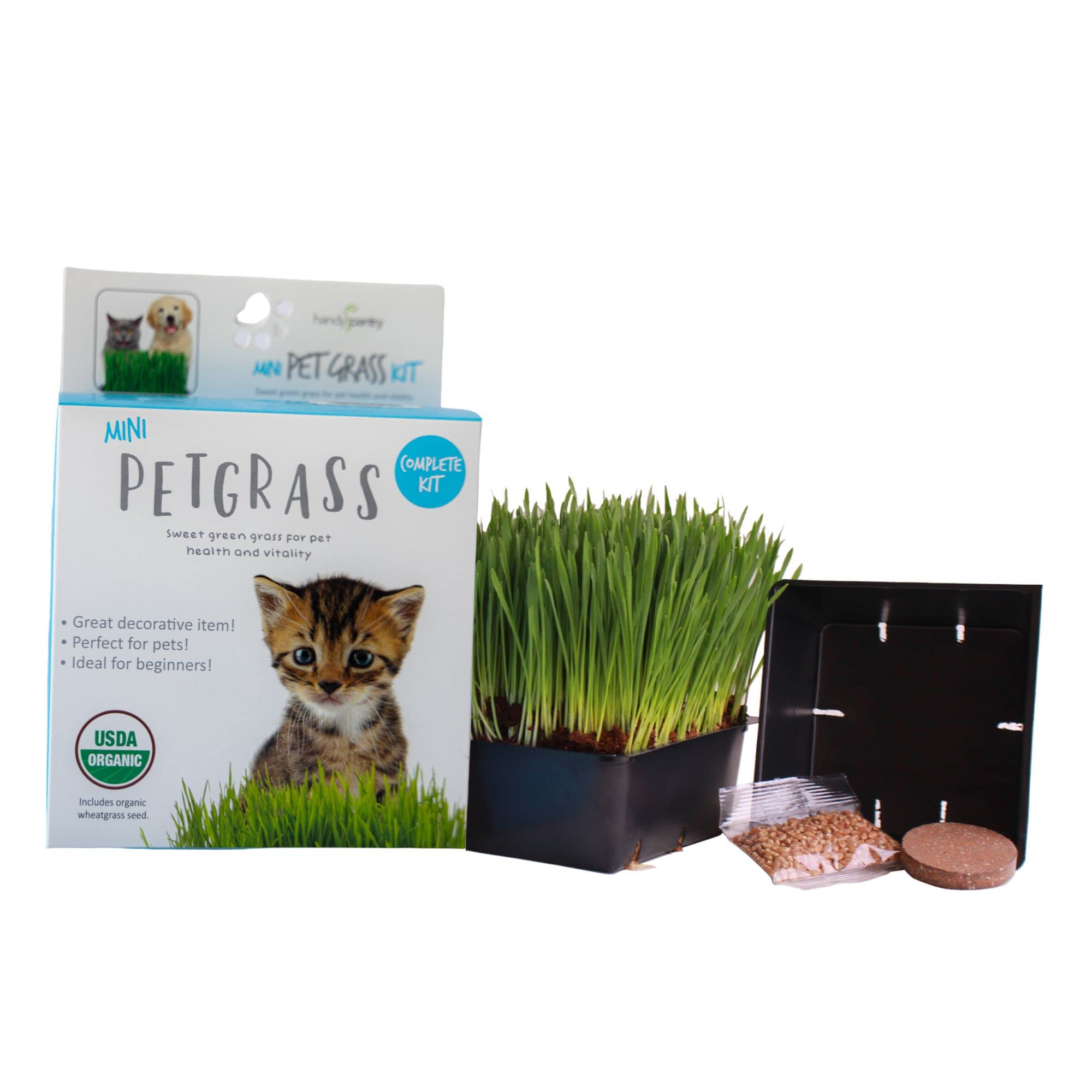 Can Cats Eat Cat Grass