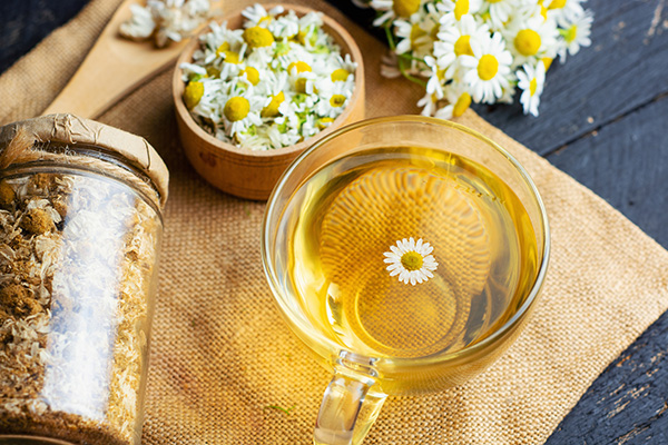 Can Cats Eat Chamomile