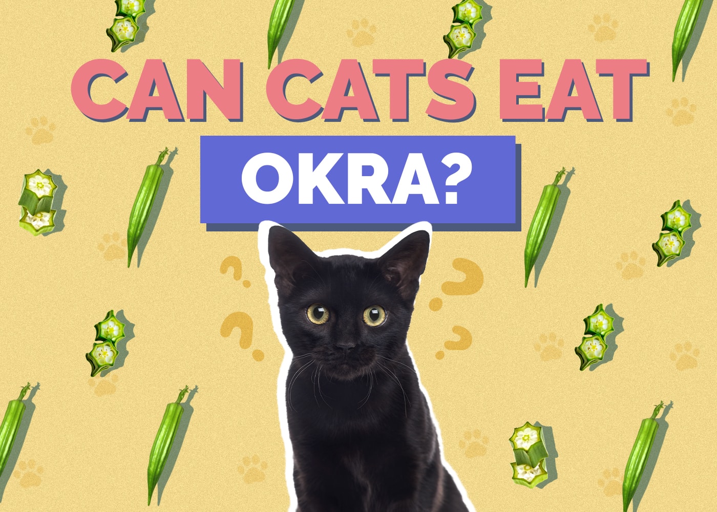 Can Cats Eat Okra