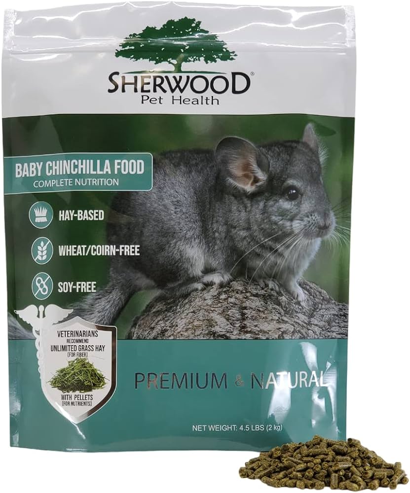 Can Chinchillas Eat Bananas