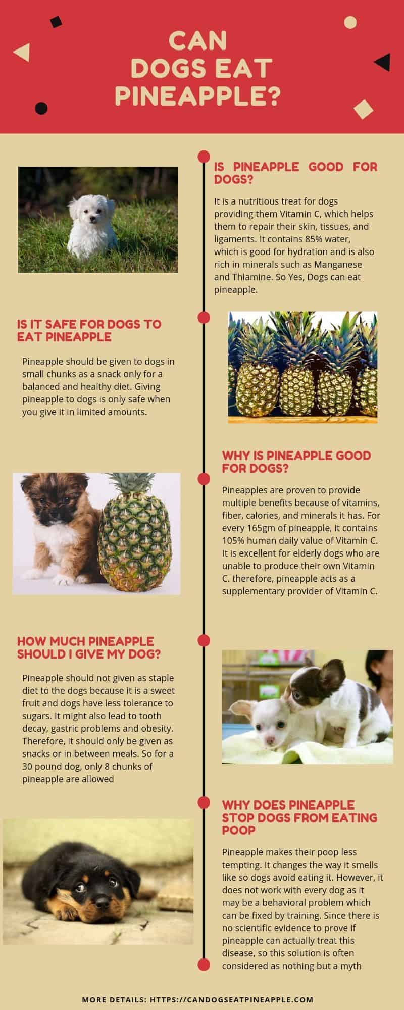 Can Dogs Eat Pineapple Core