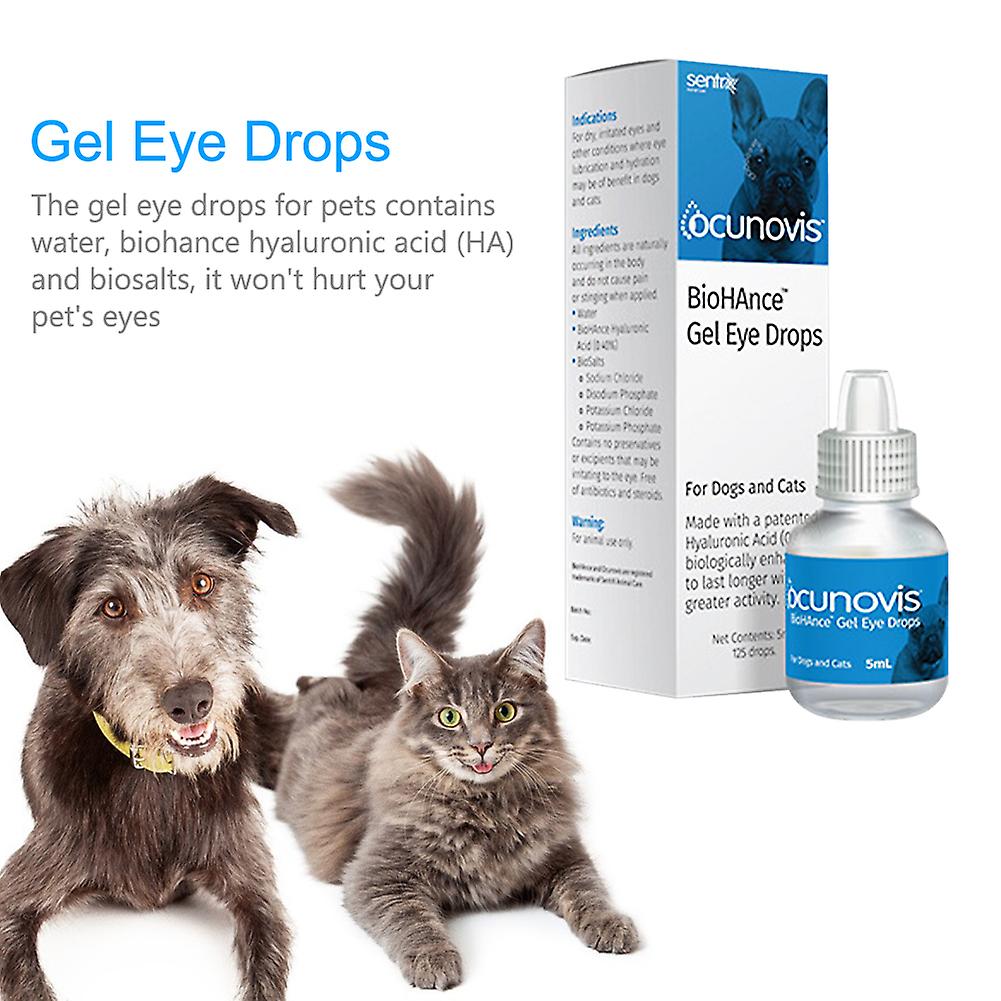 Can Dogs Use Over the Counter Eye Drops