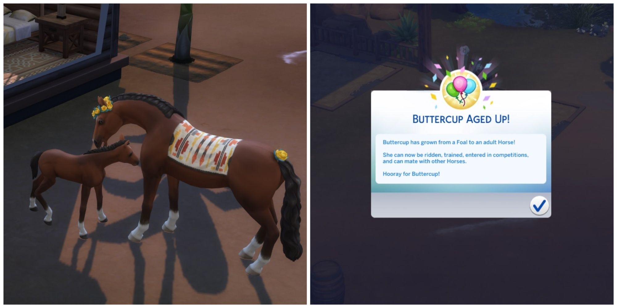 Can Horses Eat Buttercups