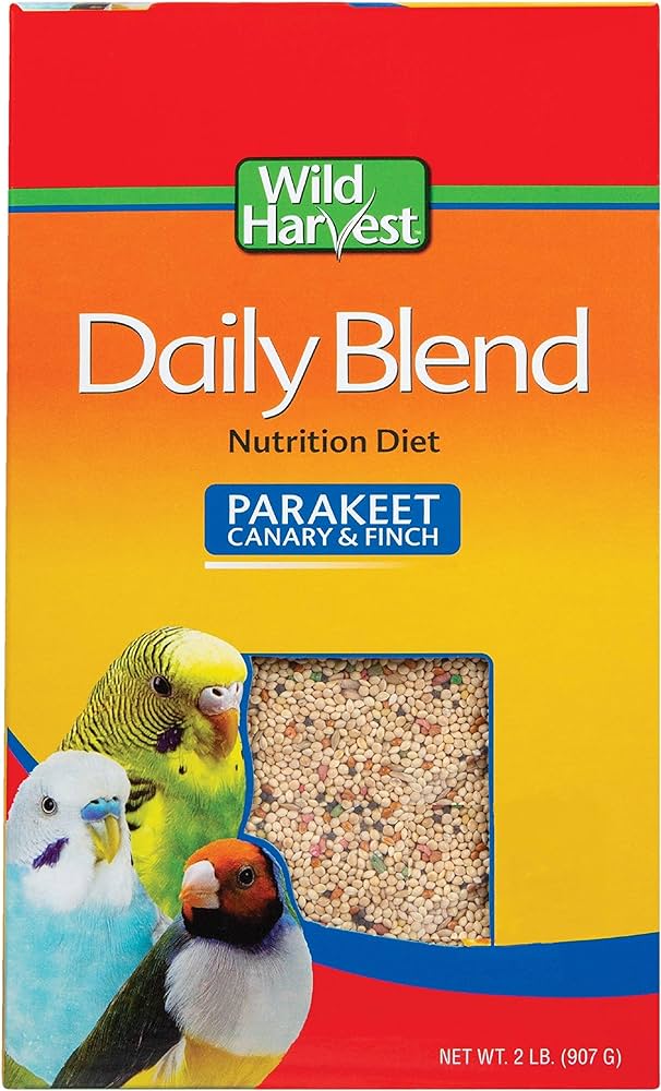 Can Parrots Eat Beets