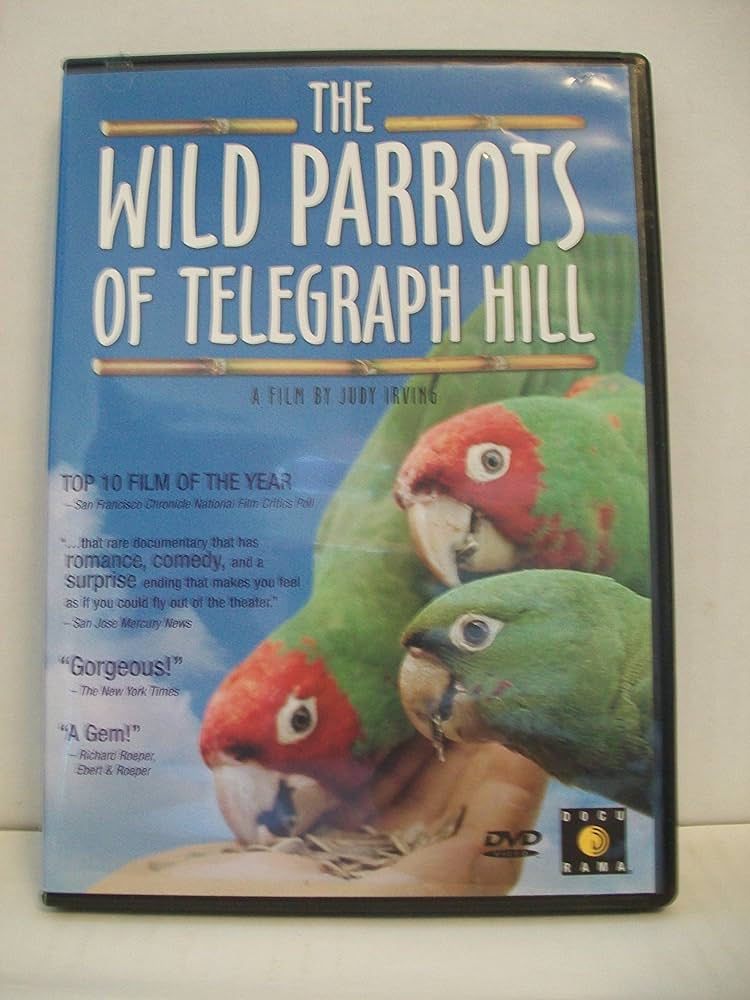 Can Parrots Eat Cherries