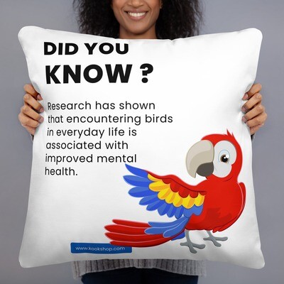 Can Parrots Eat Ginger