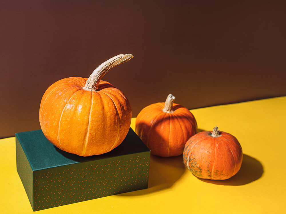 Can Parrots Eat Gourds
