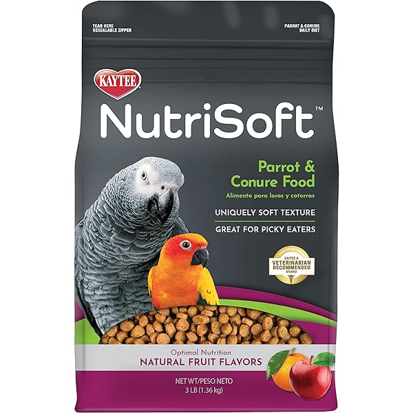 Can Parrots Eat Hazelnuts