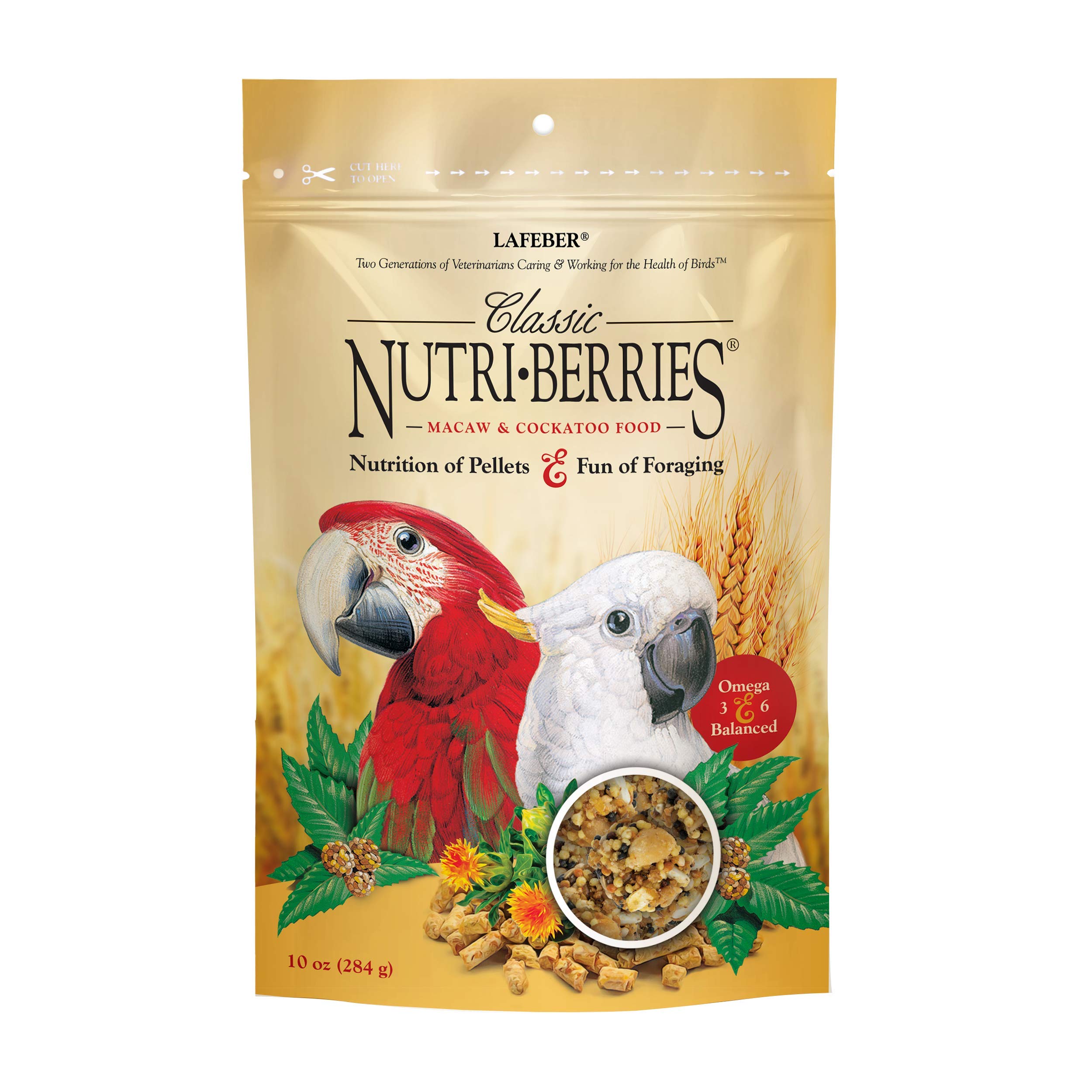 Can Parrots Eat Parsley