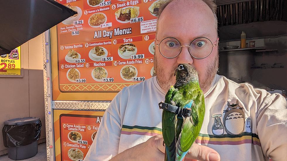 Can Parrots Eat Sausage