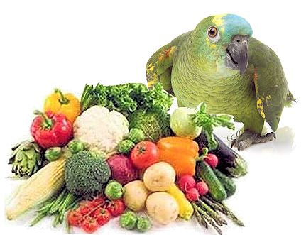 Can Parrots Eat Vegetables