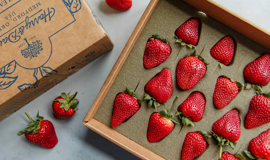 Can Rabbit Eat Strawberries