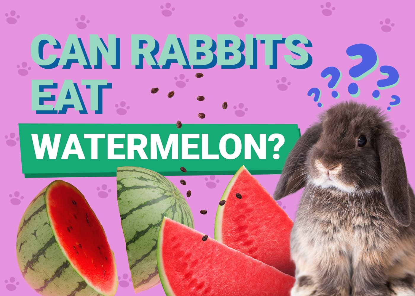 Can Rabbit Eat Watermelon