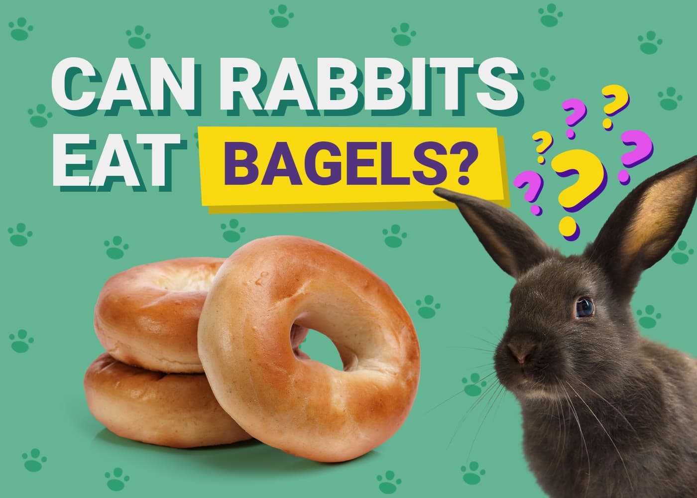 Can Rabbits Eat Bagels