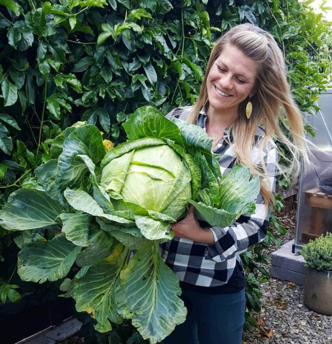 Can Rabbits Eat Kohlrabi Leaves