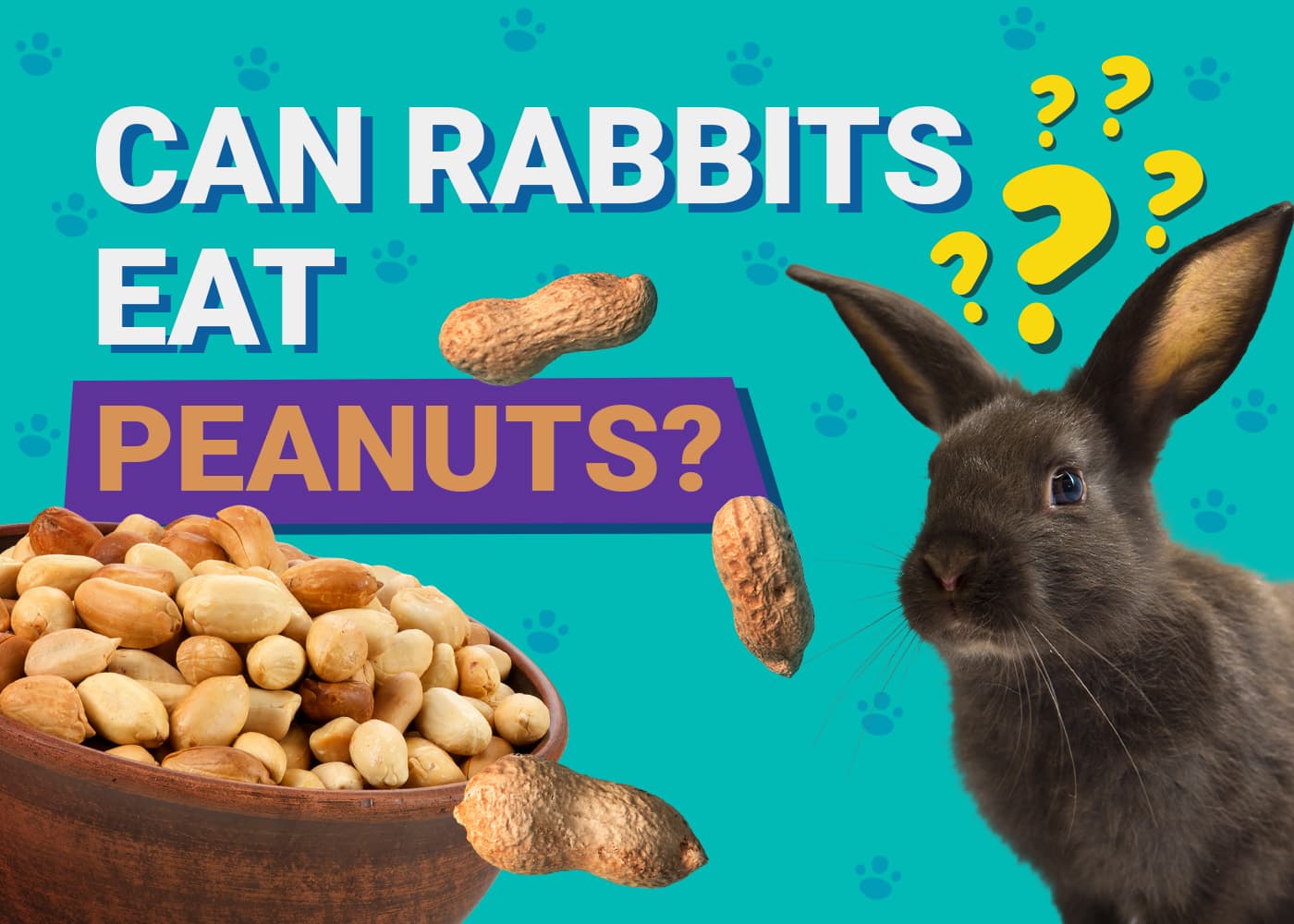 Can Rabbits Eat Pecans