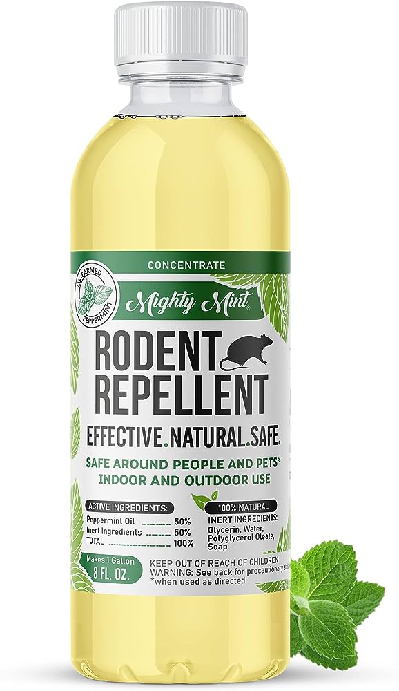 can-the-smell-of-peppermint-oil-hurt-dogs-the-truth-revealed-vet