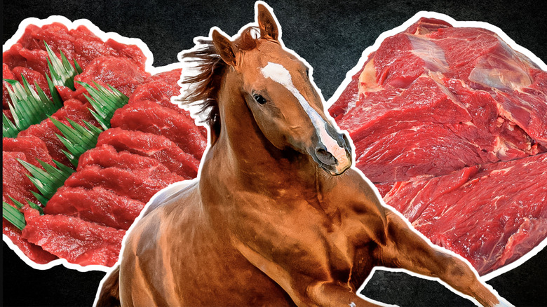 Can You Eat Horse Meat