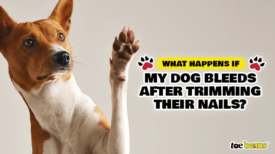 how-long-do-dogs-bleed-after-having-puppies-expert-answers-revealed