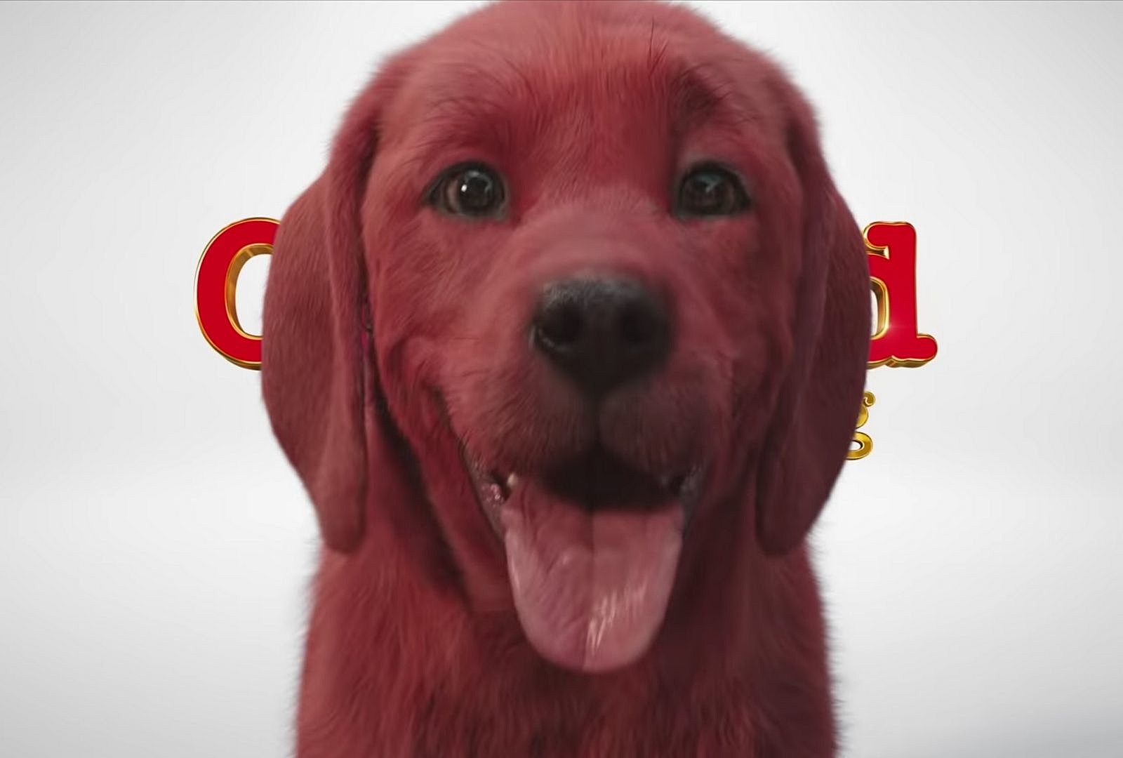 Is Clifford the Big Red Dog Real