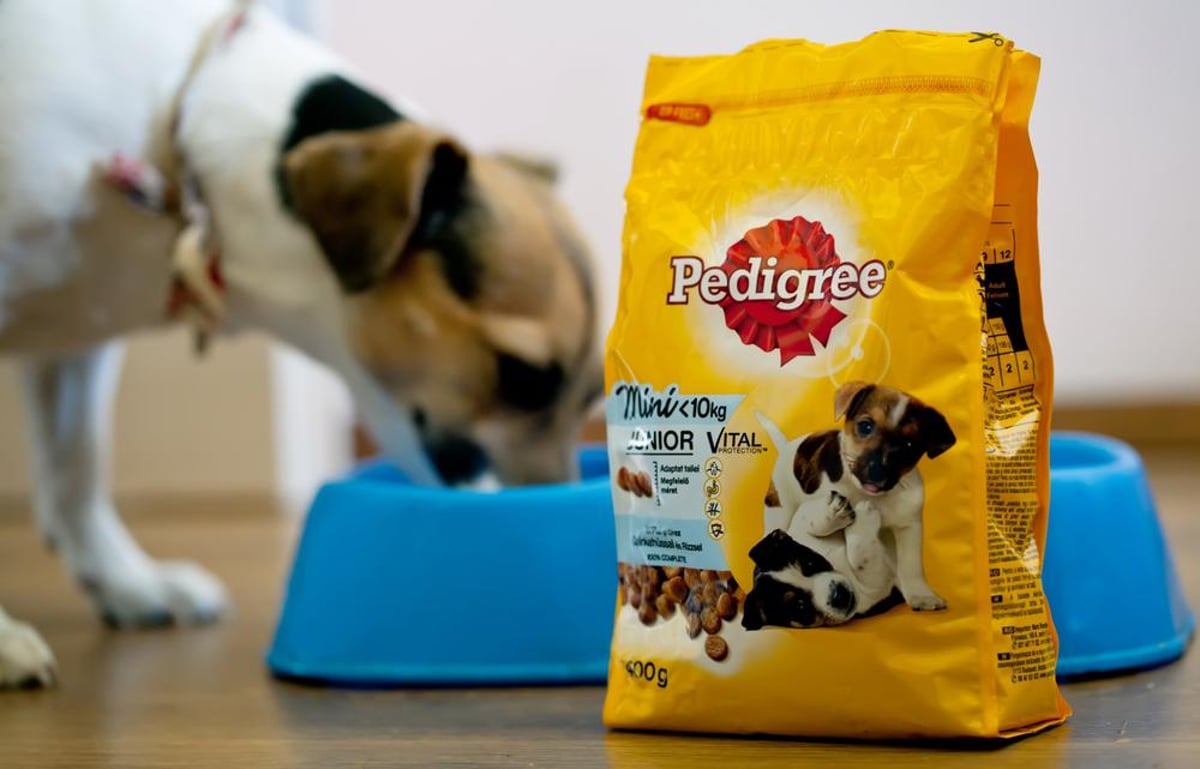 Is Pedigree Dog Food On The Recall List Find Out Now! Vet Advises
