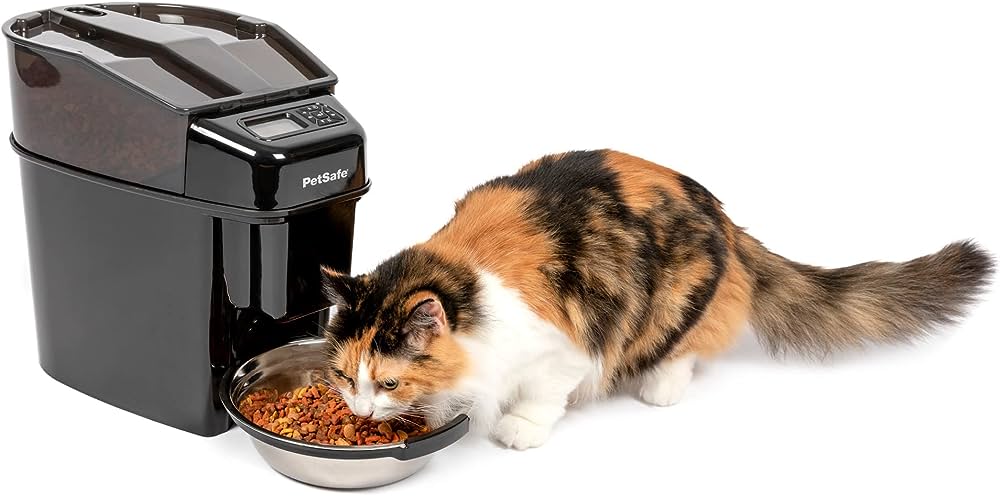 What Can Cats Eat When Out of Cat Food