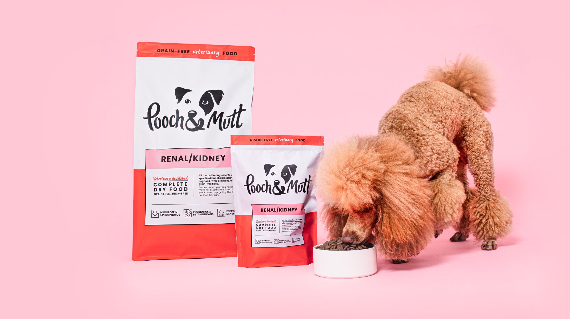 What Can Dogs With Kidney Disease Eat? A Guide To Nourish Your Pet Vet Advises