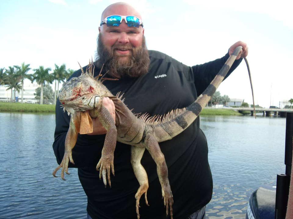 What Vegetables Can Iguanas Eat