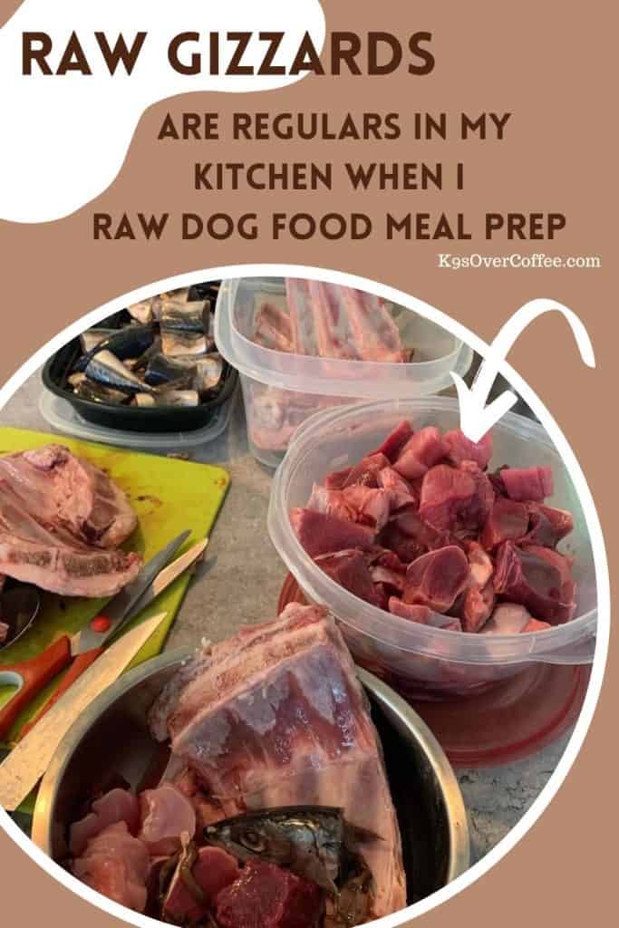 your-can-dogs-eat-chicken-gizzards-raw-the-powerful-benefits-of-raw