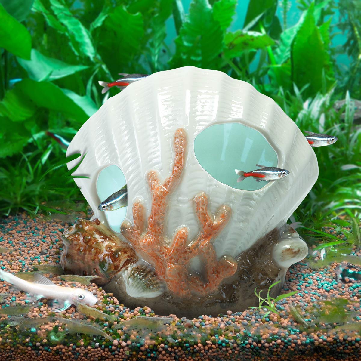 Are Aquarium Decorations Safe