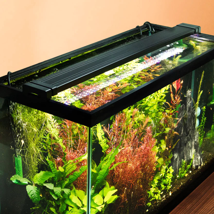 Do Aquarium Lights Heat Water