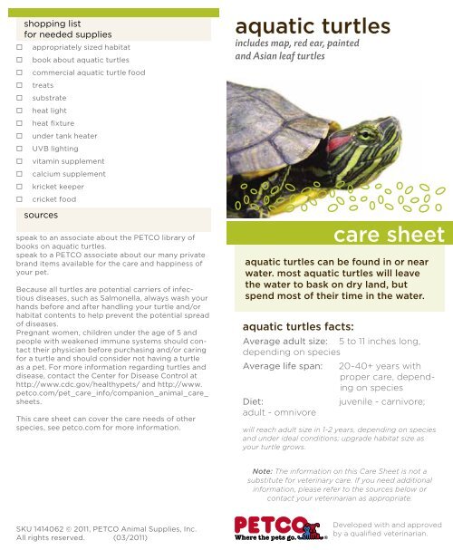 Turtle Care And Facts