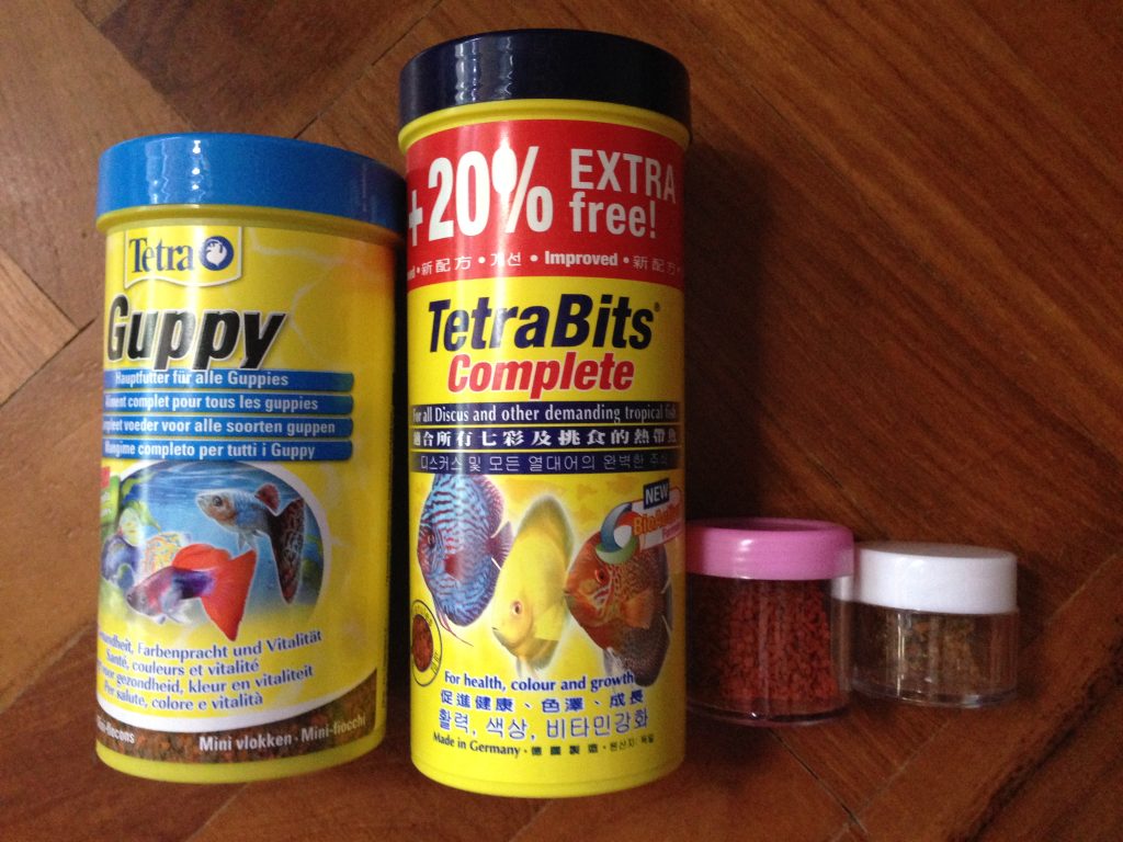 What Fish Food Do Guppies Eat: Essential Nutrition Guide - Vet Advises