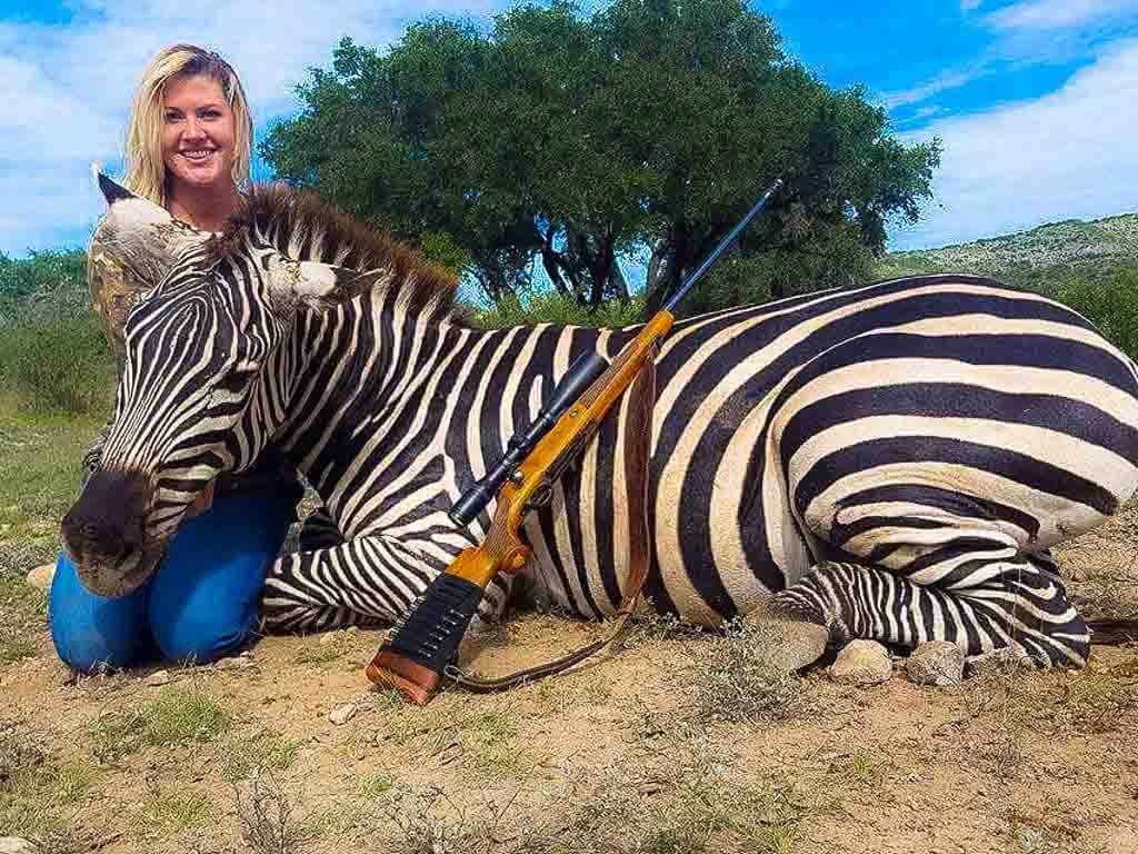 Can You Hunt Zebra in Texas