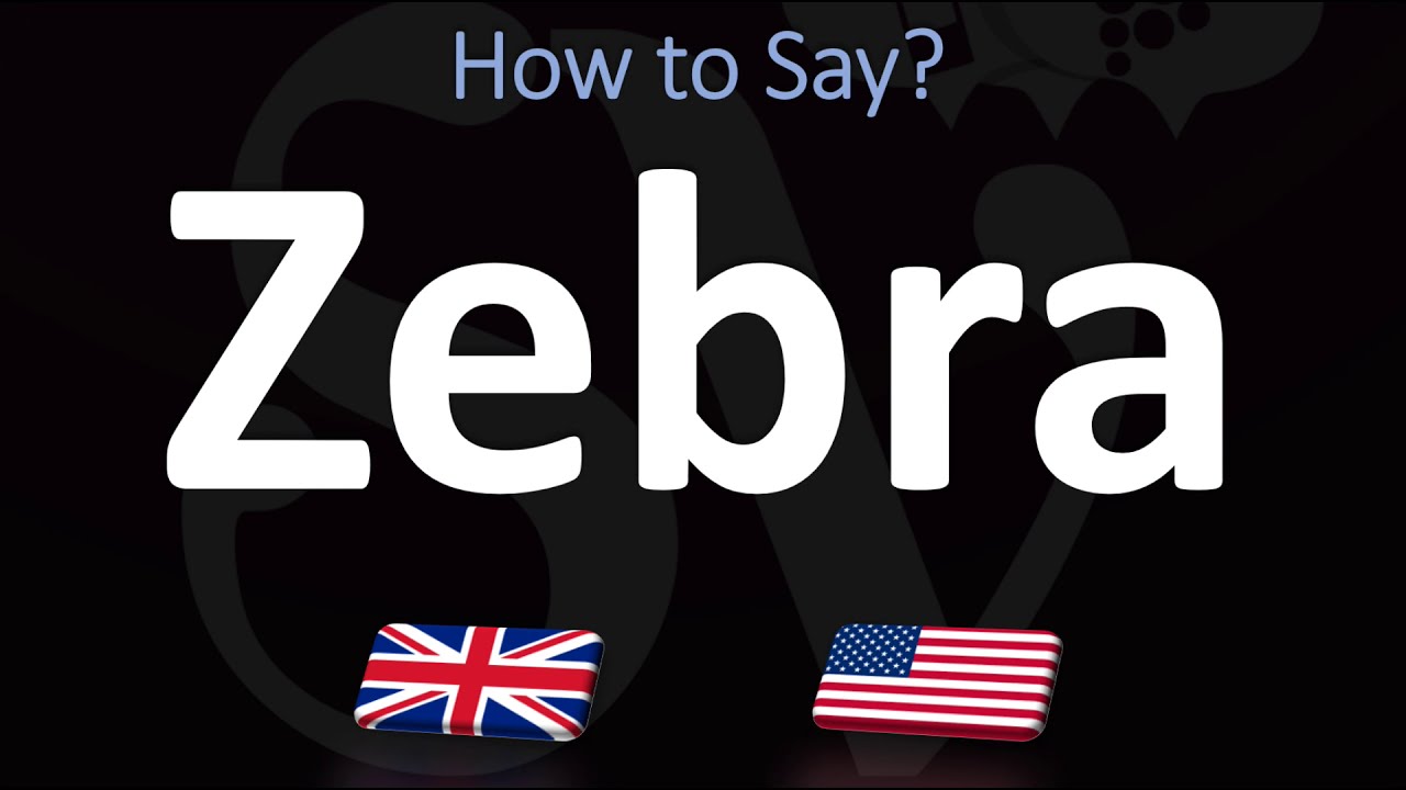 How to Pronounce Zebra