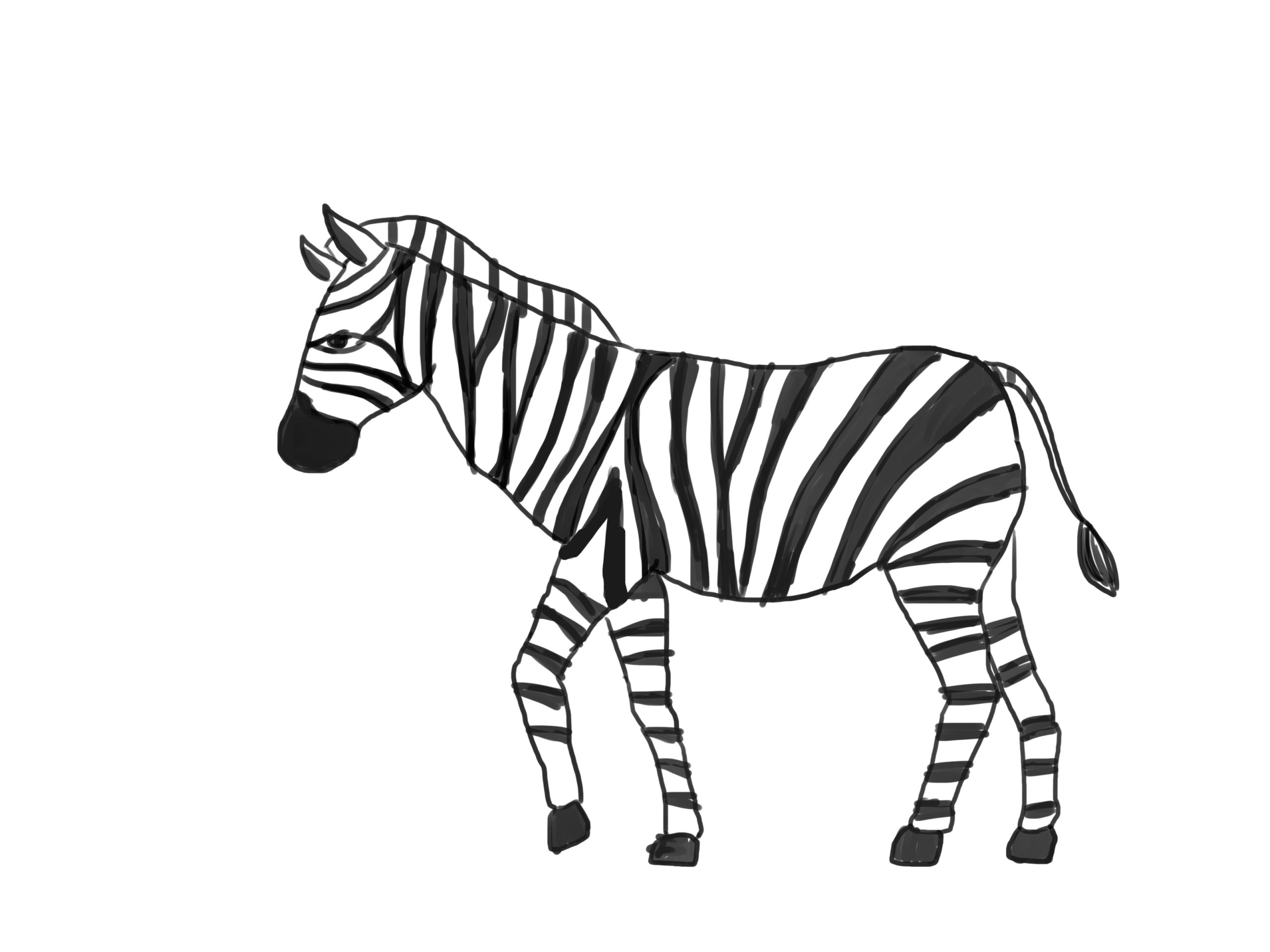 How to Sketch a Zebra